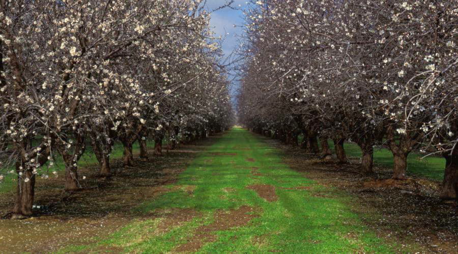 Melhores ofertas de aluguel de carros em Visalia